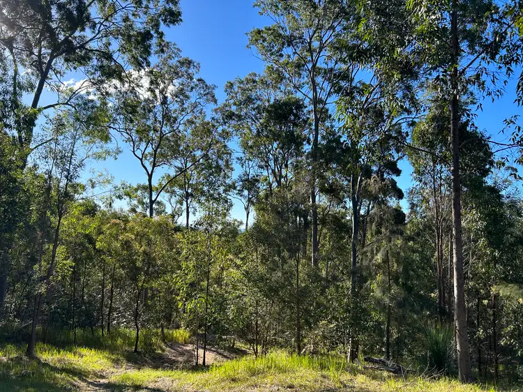 Fourth view of Homely rural property listing, 310 Sugarbag Road, Tabulam NSW 2469