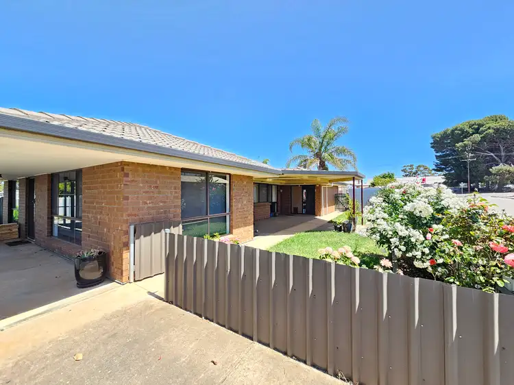 4 Young Street, Kapunda SA 5373
