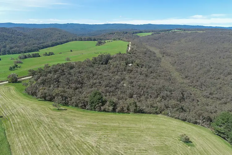 Fifth view of Homely land listing, 270 Moomowroong Road, Carlisle River VIC 3239