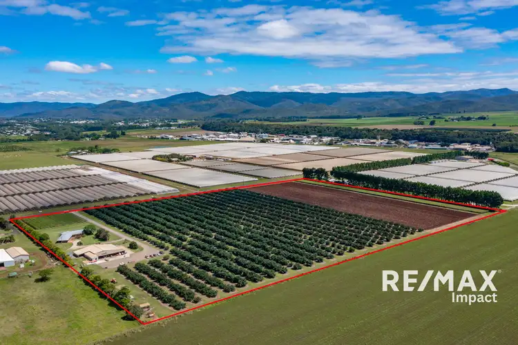 Second view of Homely rural property listing, 119 Beantree Road, Atherton QLD 4883