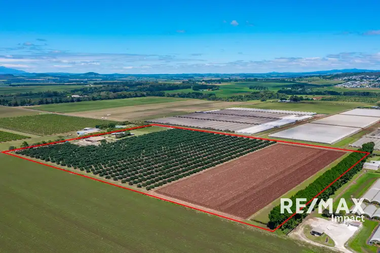 Third view of Homely rural property listing, 119 Beantree Road, Atherton QLD 4883