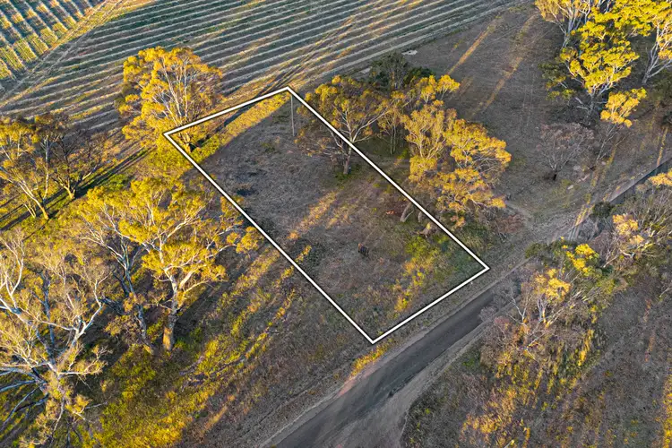 Seventh view of Homely rural property listing, Lot 3/LP7137 Bains Road, Navarre VIC 3384