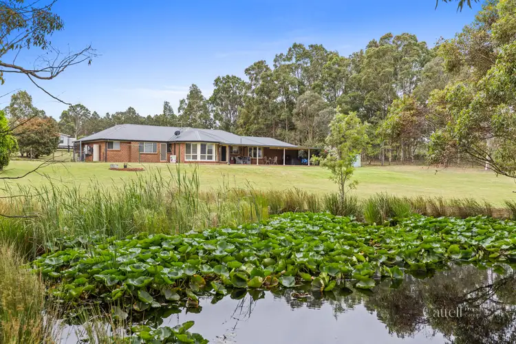 Fourth view of Homely house listing, 22 Mcguigans Way, Branxton NSW 2335