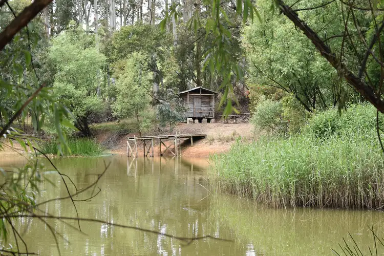 Sixth view of Homely rural property listing, 16 Bingfield Lane, Meadows SA 5201