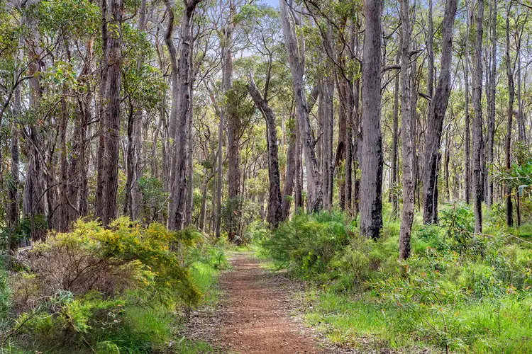 Sixth view of Homely land listing, 14 McDowell Road, Witchcliffe WA 6286