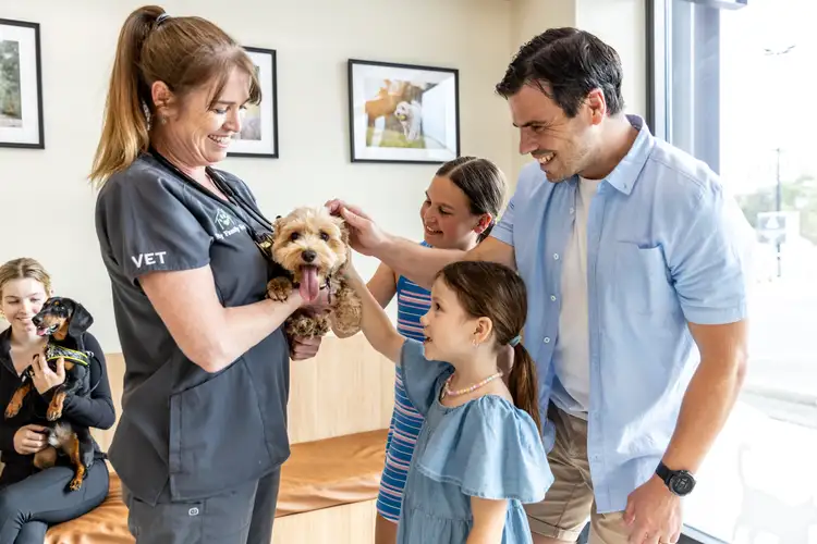 Fifth view of Homely land listing, 242 Canvey Road, Upper Kedron QLD 4055