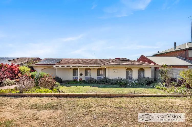 Main view of Homely house listing, 13 Steinbeck, Spearwood WA 6163