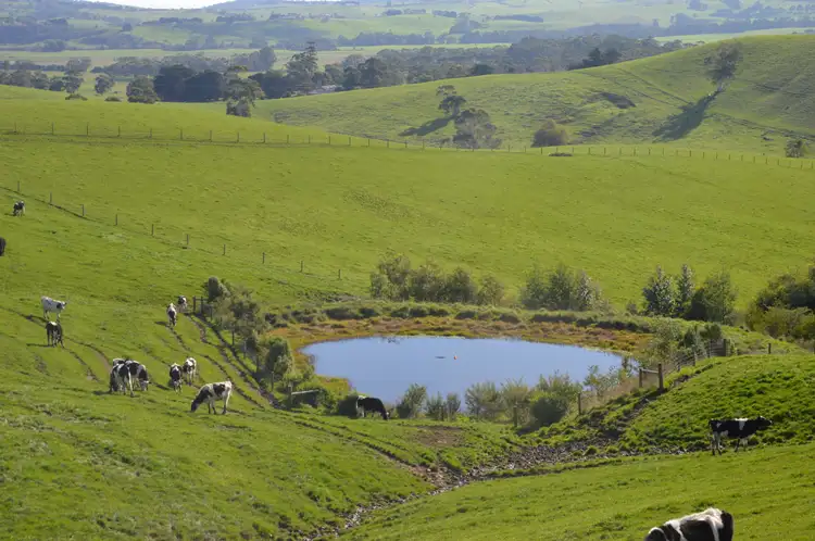 Seventh view of Homely rural property listing, 55 Michie road, Krowera VIC 3945