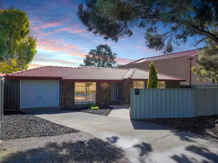 16 Zwerner Drive