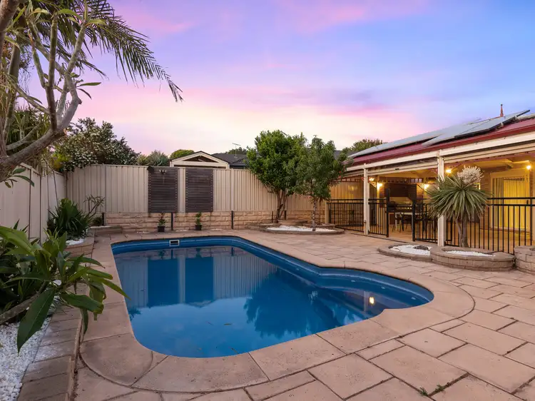 Second view of Homely house listing, 24 Sylvan Circuit, Noarlunga Downs SA 5168