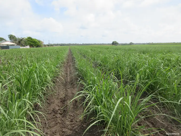 Third view of Homely rural property listing, 327 Moore Park Road, Moore Park Beach QLD 4670