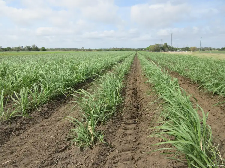 Fifth view of Homely rural property listing, 327 Moore Park Road, Moore Park Beach QLD 4670