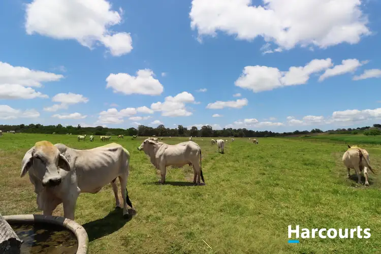 Third view of Homely rural property listing, LOT 3 FRANCEY ROAD, North Isis QLD 4660