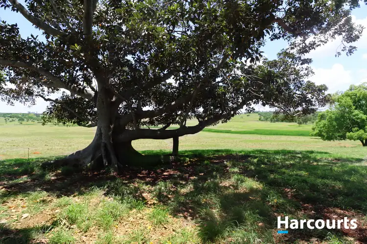 Sixth view of Homely rural property listing, LOT 3 FRANCEY ROAD, North Isis QLD 4660