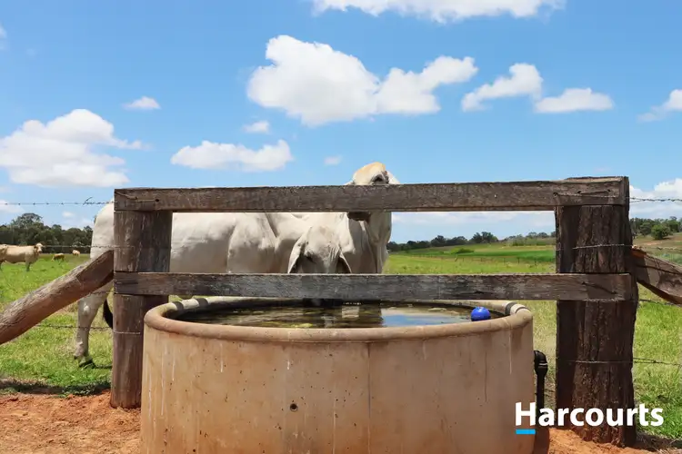 Seventh view of Homely rural property listing, LOT 3 FRANCEY ROAD, North Isis QLD 4660