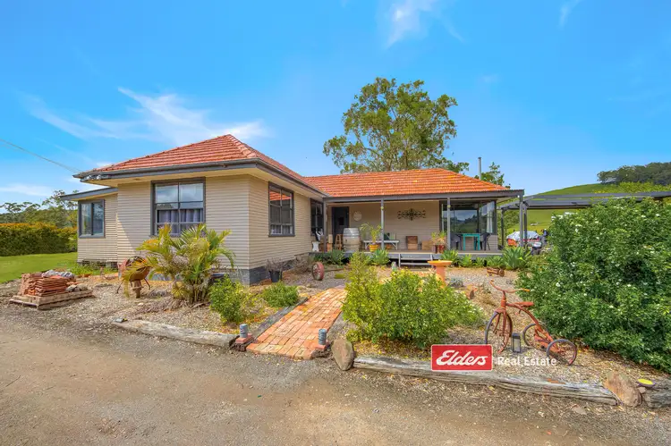 311 Salisbury Road, Munni via