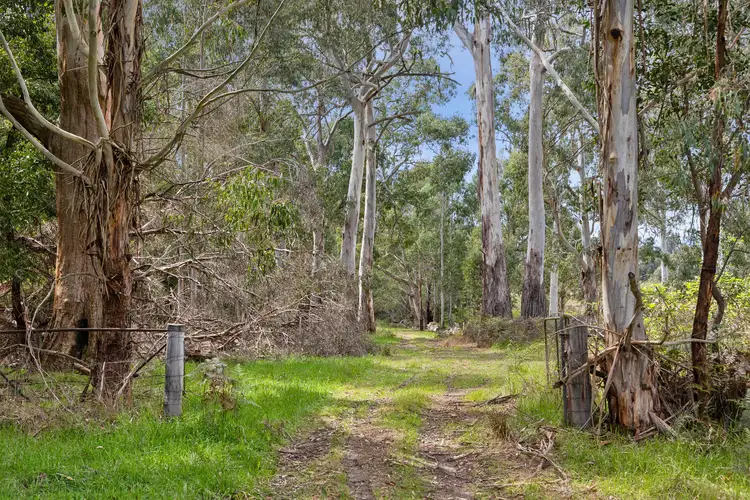 Second view of Homely rural property listing, 21 Gullett Road, Glenburn VIC 3717