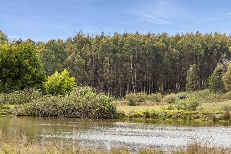 Fifth view of Homely rural property listing, 21 Gullett Road, Glenburn VIC 3717