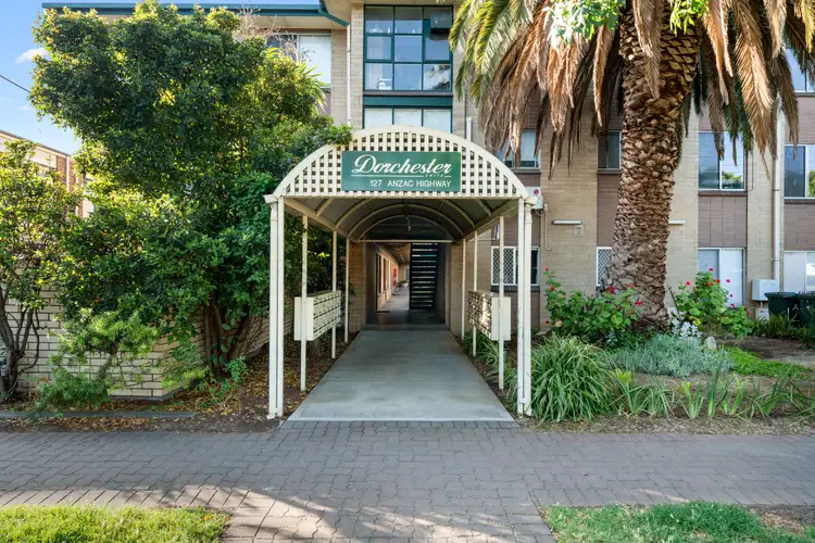 35/ 127-129 Anzac Highway, Kurralta Park SA 5037