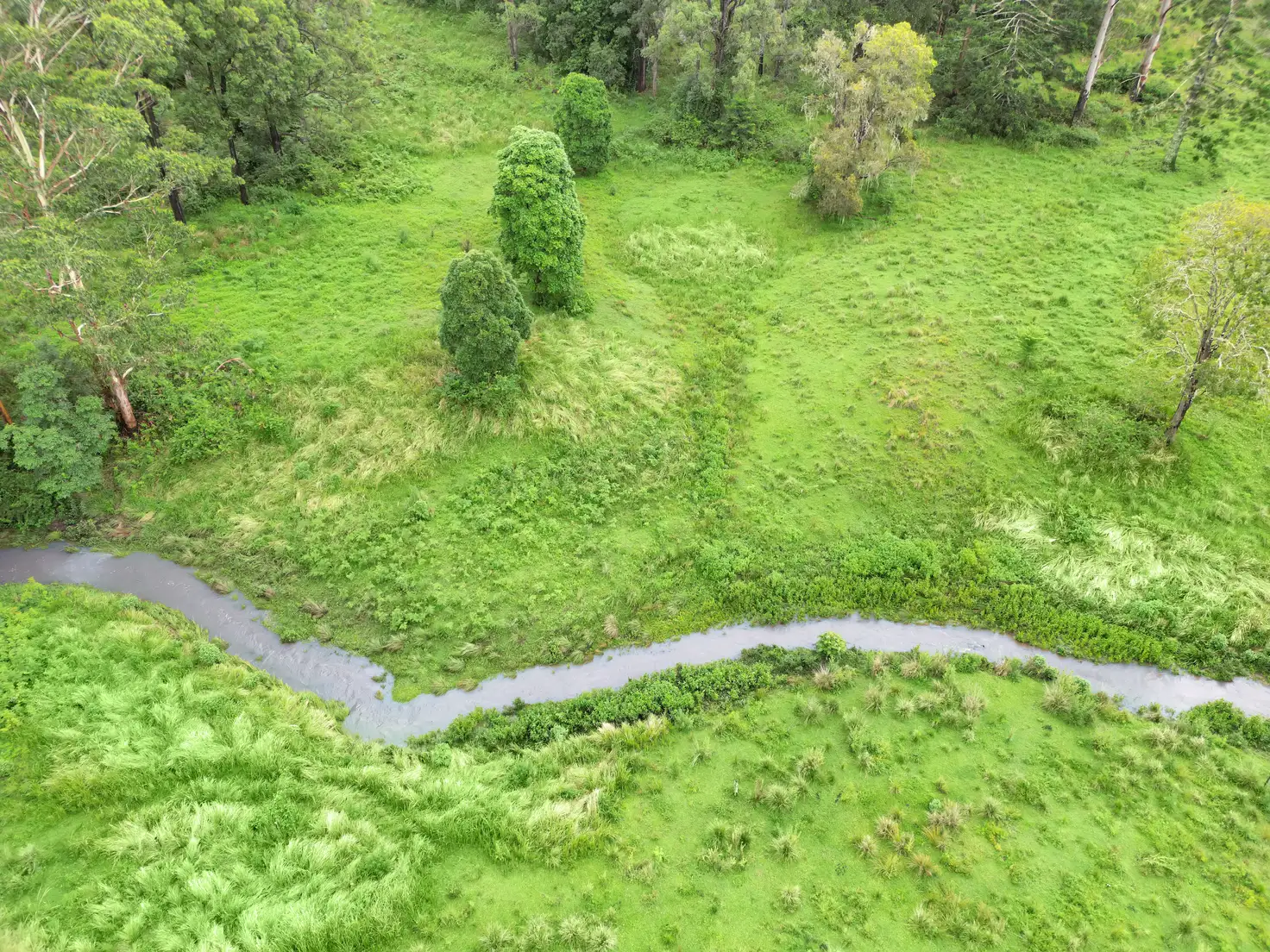 Main view of Homely rural property listing, 149 O'neill Road, Bentley NSW 2480