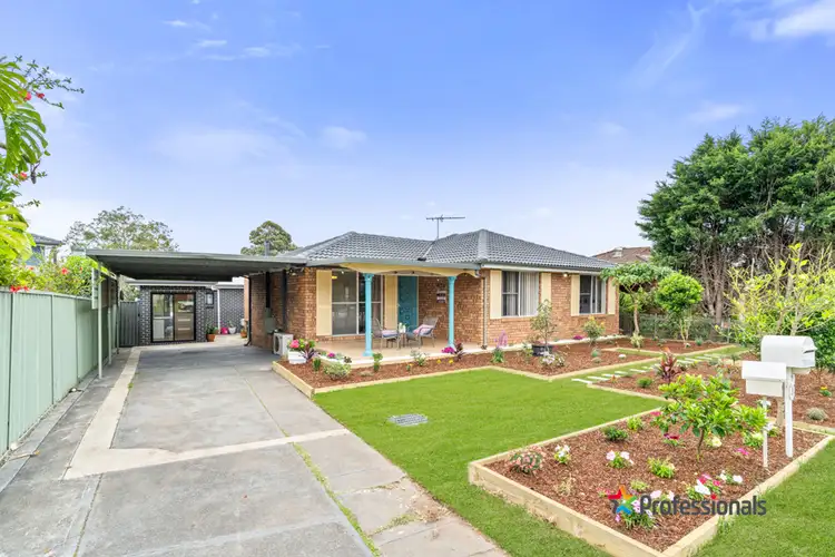 3 Lane Pl, Minto NSW 2566