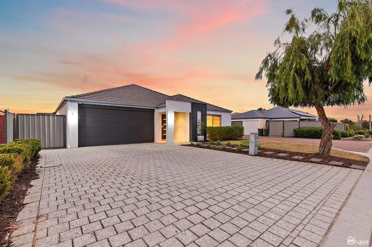 Main view of Homely house listing, 16 Bitalli Bend, Byford WA 6122