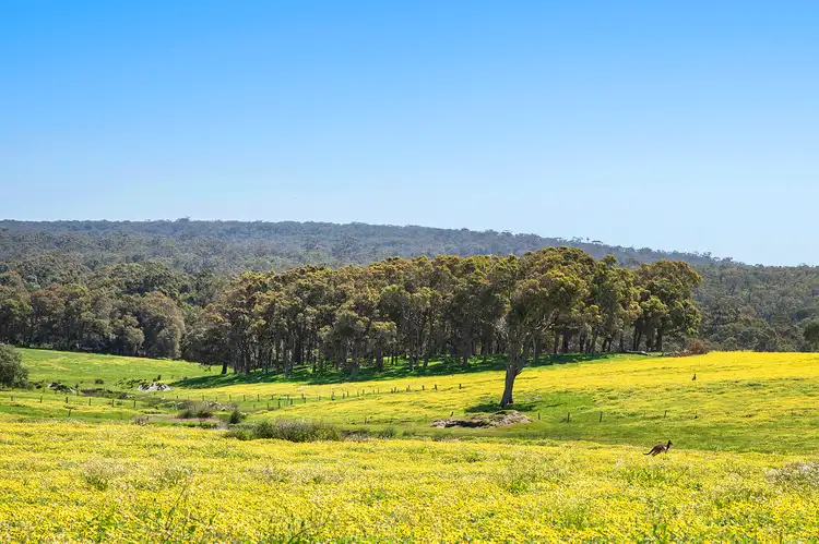 Sixth view of Homely rural property listing, Lot 61 Caves Road, Burnside WA 6285