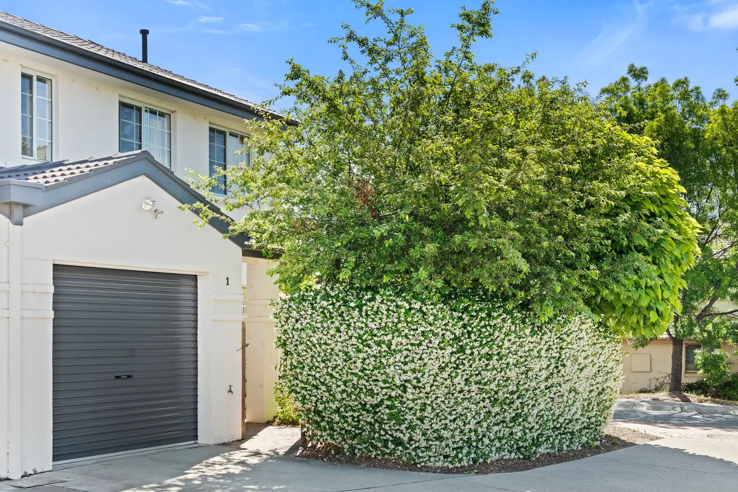Main view of Homely townhouse listing, 1/3 Port Jackson Circuit, Phillip ACT 2606