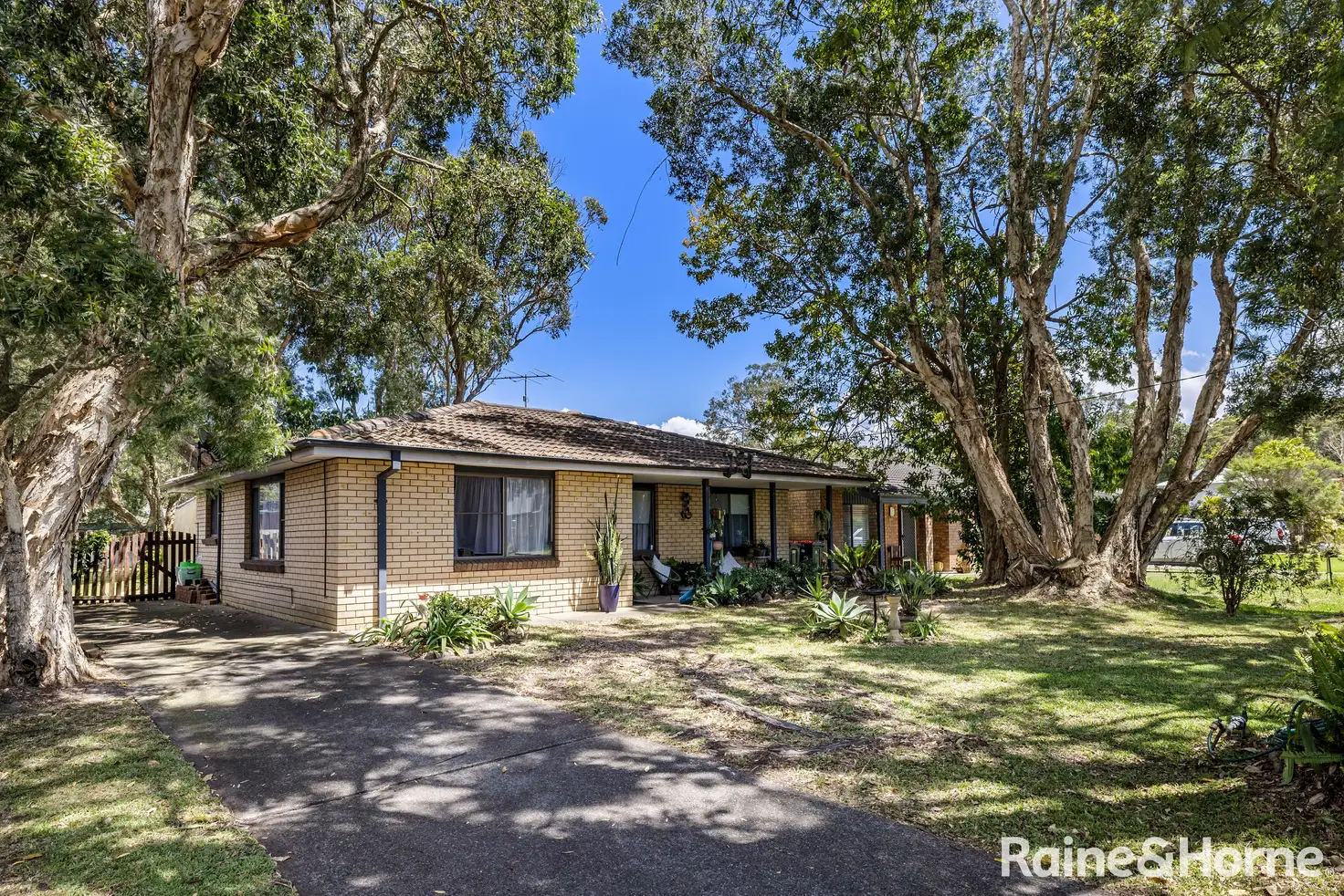 Main view of Homely house listing, 38 Elizabeth Avenue, Lemon Tree Passage NSW 2319