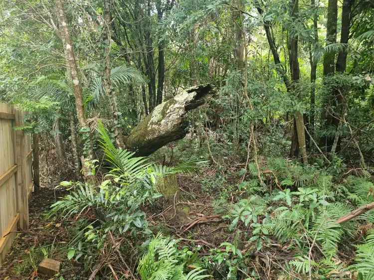 Second view of Homely land listing, 9 Gwongorella Parade, Springbrook QLD 4213