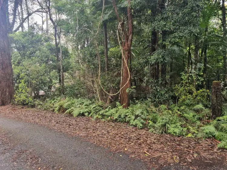 Seventh view of Homely land listing, 9 Gwongorella Parade, Springbrook QLD 4213