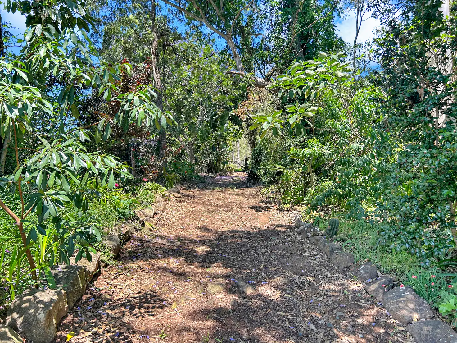 Main view of Homely rural property listing, 10547 Clarence Way, Tabulam NSW 2469