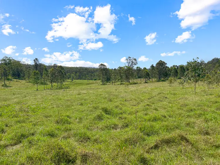 Second view of Homely rural property listing, 10547 Clarence Way, Tabulam NSW 2469