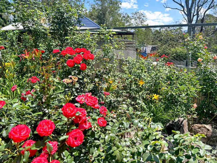 Fifth view of Homely rural property listing, 10547 Clarence Way, Tabulam NSW 2469