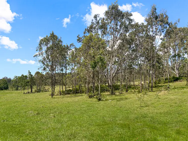 Sixth view of Homely rural property listing, 10547 Clarence Way, Tabulam NSW 2469