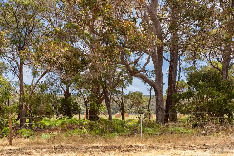 Fifth view of Homely land listing, 41 Firetail Rise, Karridale WA 6288