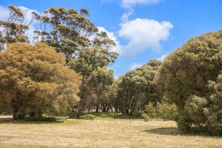 Seventh view of Homely land listing, 41 Firetail Rise, Karridale WA 6288