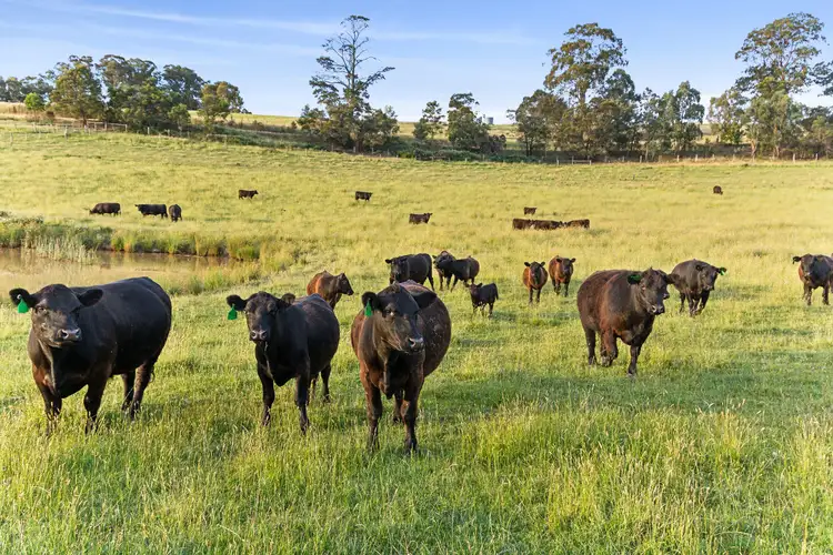 Fifth view of Homely land listing, LOT 4/80 Walters Lane, Dixons Creek VIC 3775