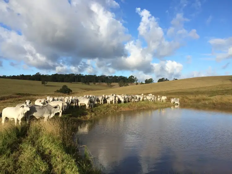 Second view of Homely rural property listing, 1 Clarence Way, Tunglebung NSW 2469