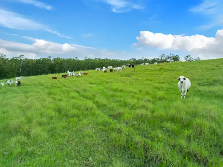 Third view of Homely rural property listing, 1 Clarence Way, Tunglebung NSW 2469