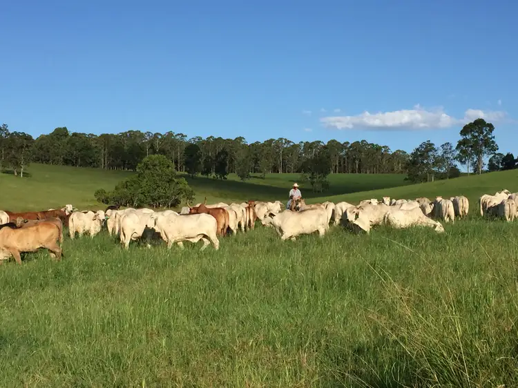 Sixth view of Homely rural property listing, 1 Clarence Way, Tunglebung NSW 2469