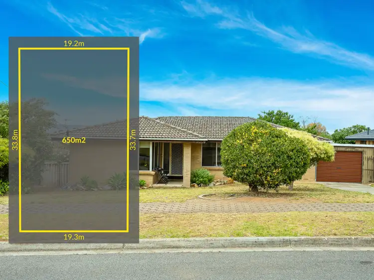 Second view of Homely house listing, 19 Anthony Road, Para Vista SA 5093