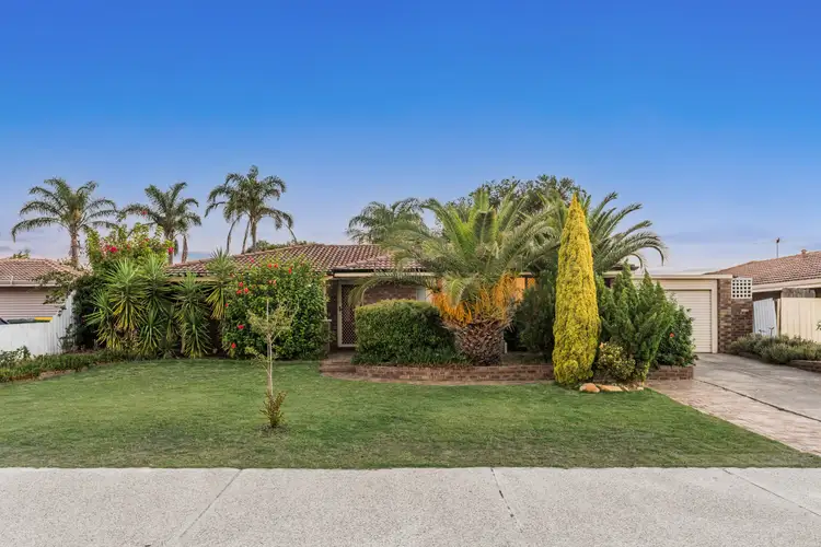 Main view of Homely house listing, 8 Strawberry Drive, Seville Grove WA 6112