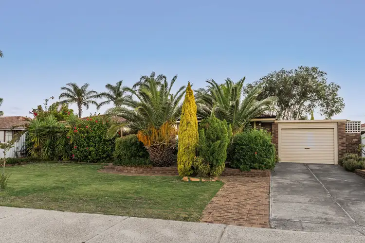 Fifth view of Homely house listing, 8 Strawberry Drive, Seville Grove WA 6112