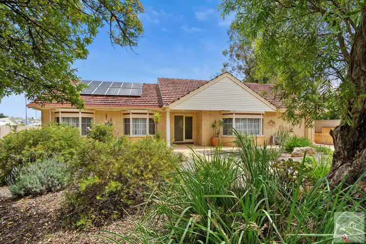 Main view of Homely house listing, 3 McMillan Street, Loxton SA 5333