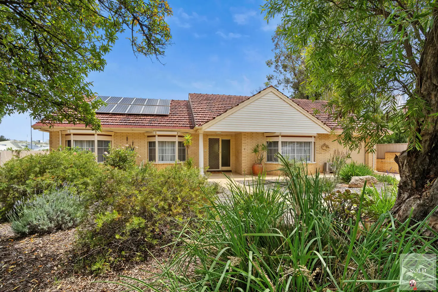 Main view of Homely house listing, 3 McMillan Street, Loxton SA 5333