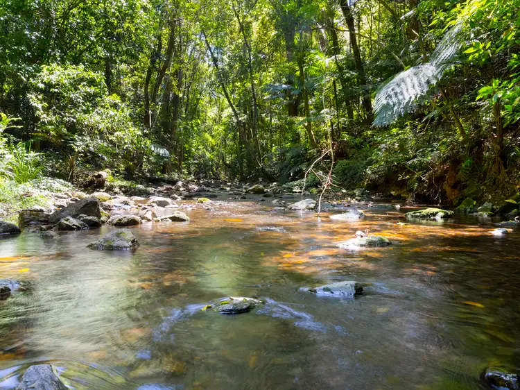 Second view of Homely land listing, 102 - Lot 2 & 61 Adams Road, Bellingen NSW 2454