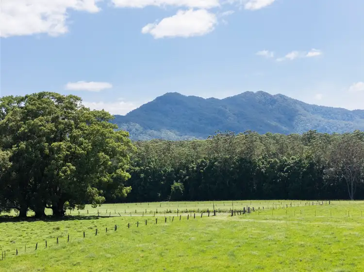 Third view of Homely land listing, 102 - Lot 2 & 61 Adams Road, Bellingen NSW 2454