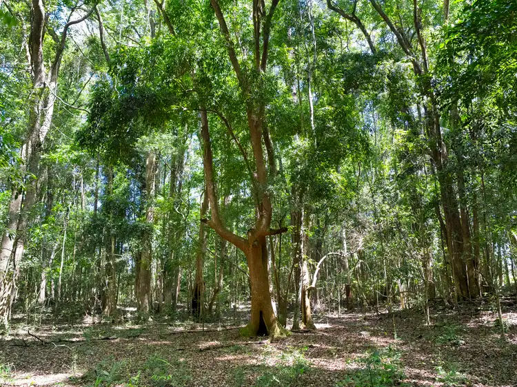 Fifth view of Homely land listing, 102 - Lot 2 & 61 Adams Road, Bellingen NSW 2454