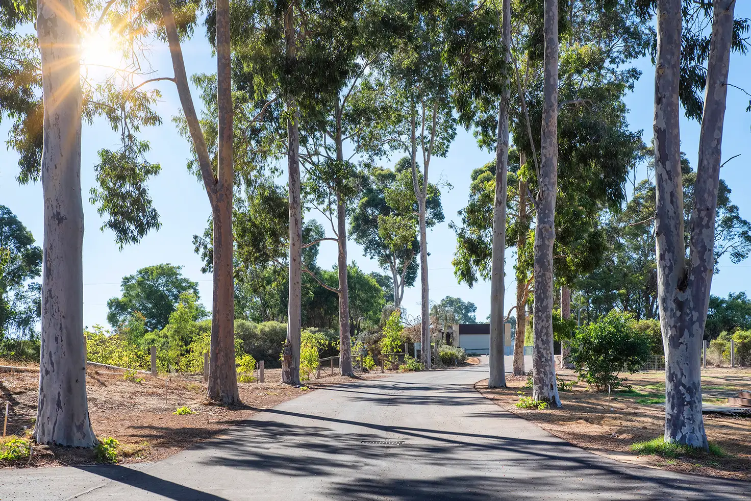 Main view of Homely land listing, 114A Ashton Street, Margaret River WA 6285